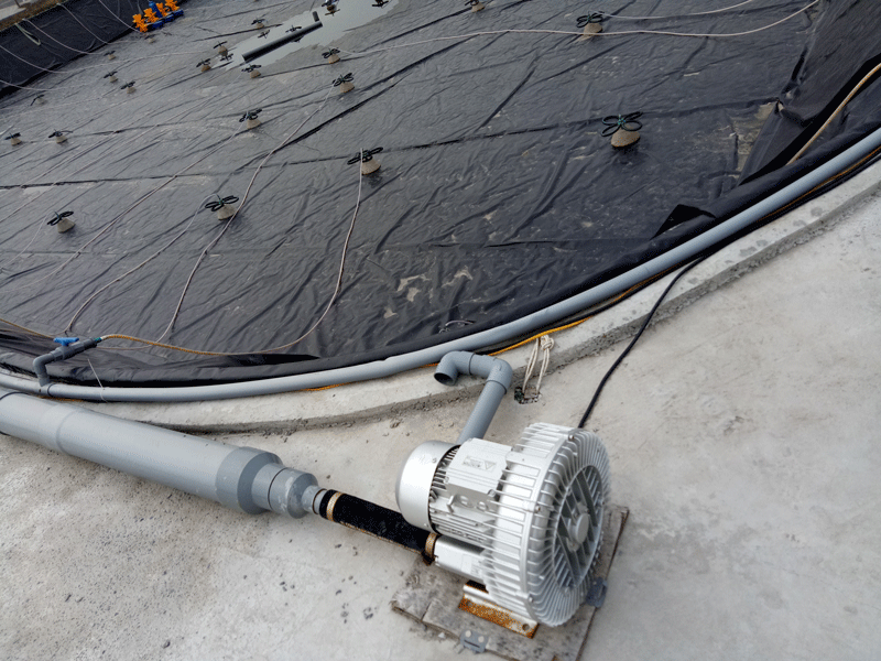 Máy thổi khí con sò là gì? Cấu tạo, ứng dụng của máy thổi khí con sò? 19 Ung dung may thoi khsi con so 1